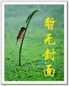 天价婚约完整