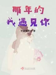 遇见你的那一年
