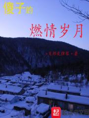 傻子的燃情岁月 第5章