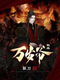 极品万岁爷免费阅读全文