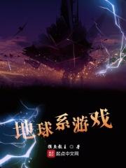 地球游戏系统