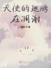 歌词 天使的翅膀