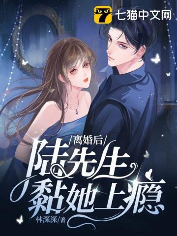 陆先生的离婚罪妻