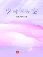 帕尼尼的故事
