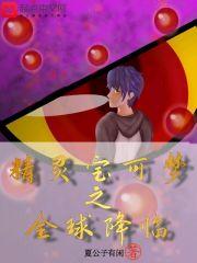 宝可梦之全球神