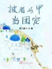 披着马甲的