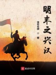 重生明末之中州崛起顶点