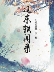 辽东典故