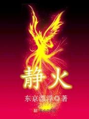静火版pdf