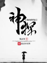 我的搭档是大佬 作者弑神天使