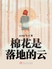 棉花是长在地上还是长在树上