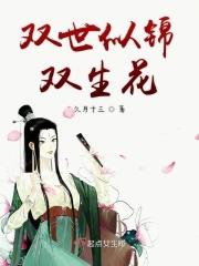 双生锦好看吗