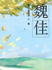 魏佳兵