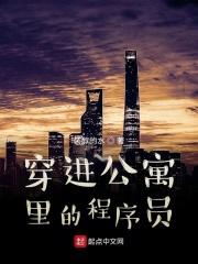 爱情公寓谁是编剧
