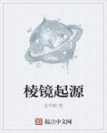 棱镜的含义