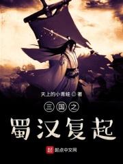 三国之蜀汉崛起百度百科