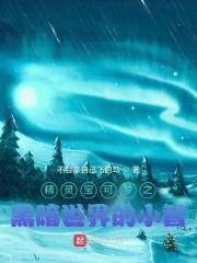 口袋妖怪小智版黑暗超梦