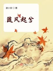 歌词随风起舞