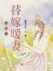 贺少的替嫁新娘