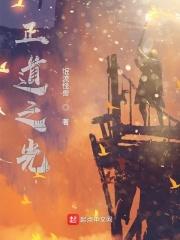 正道之光已下线全文免费阅读