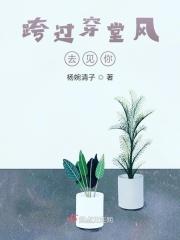 歌词里有跨过风跨过雨