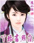 丫环与王爷