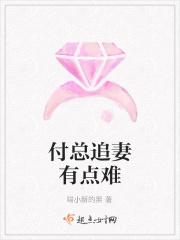 傅总的追妻火场晋江