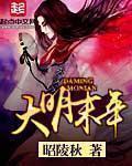 看电视剧大明末年