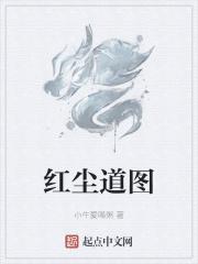 红尘道讲了什么