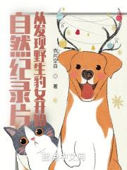 野生豹猫图片大全大图