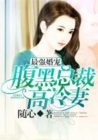 腹黑总裁高冷妻