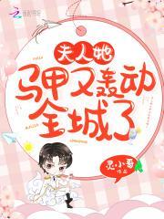 乔念叶妄川最新章节内容