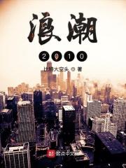 浪潮集团有限公司