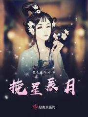 挽星诗句