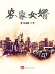 农家女婿千金媳妇分集介绍