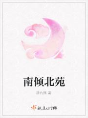 北倾介绍