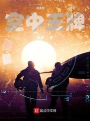 空中王牌飞行员