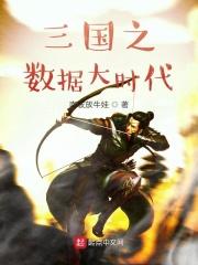 三国之数据辅助