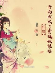 红楼开局成贾赦系统