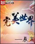 完美世界等级境界