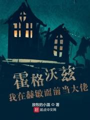 霍格沃兹之我在赫敏面前当大佬