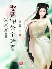 大唐开局娶晋阳公主 无所侍从