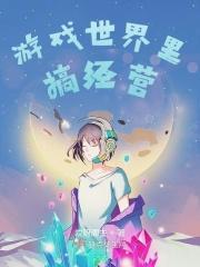 游戏经营类游戏