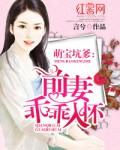 坑爹宝贝前妻乖乖入怀