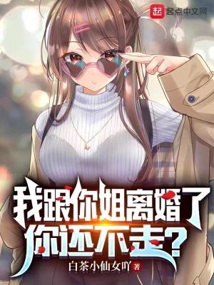 姐姐离婚和我打工