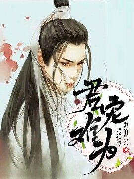 君宠难为简介