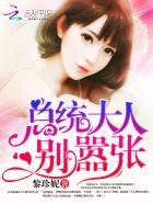 总统大人请别作