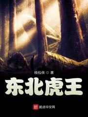 播放老虎虎视频