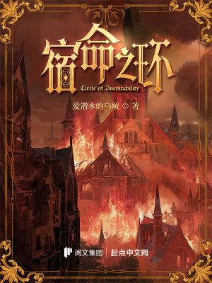 宿命之环最新章节目录_宿命之环免费阅读_顶点笔趣阁
