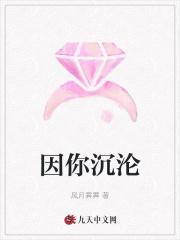 你沉沦的美是啥歌
